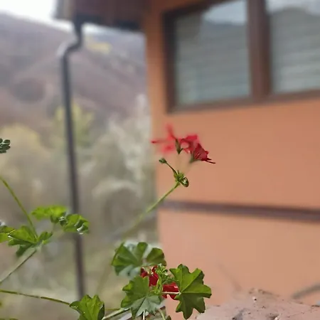 公寓 Stajko Crni Vrh