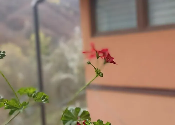 Apartman Stajko Crni Vrh