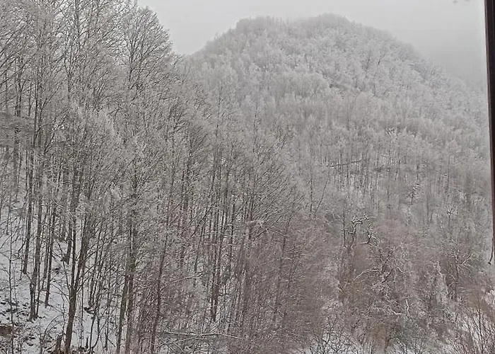 Apartman Stajko Crni Vrh